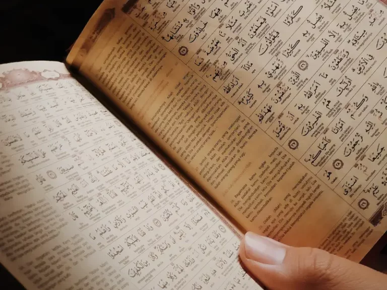 quran with tajweed v1 768x576